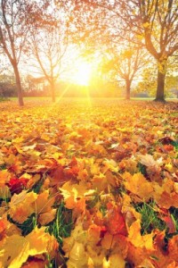 Autumn self catering breaks