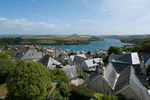 Waders in Salcombe, Devon