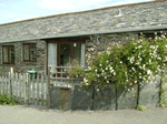 Wild Rose in Treligga, Cornwall, South West England