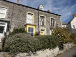 Samphire in Port Isaac, North Cornwall, South West England