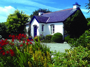 Self catering breaks at Fossa in Lakes of Killarney, County Kerry