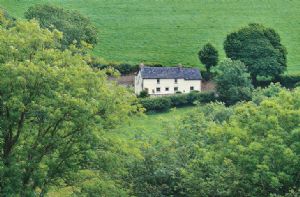 Self catering breaks at Penrhiw Cottage in Talog, Carmarthenshire