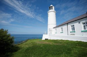 Self catering breaks at Pelorus Cottage in Padstow, Cornwall