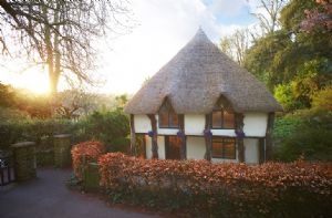 Self catering breaks at Higher Lodge in Cockington, Devon