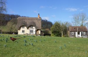 Self catering breaks at Field Cottage and Annexe in Pershore, Worcestershire