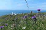 Veronica Cottage in Anvil Point Lighthouse, Dorset, South West England