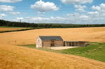 Blagdon Lower Barn in Martinstown, Dorset