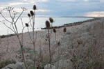 Hillside in Hythe, Kent