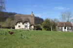 Field Cottage and Annexe in Pershore, Worcestershire, West England