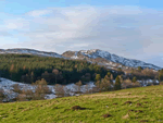 Riechip in Dunkeld, Perthshire