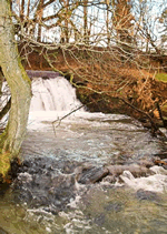 Darwin Cottage in Llansilin, Powys, Mid Wales Darwin Cottage in Llansilin, Powys, Mid Wales