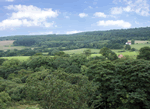 Honey Bee Cottage in Staintondale, North Yorkshire, North East England