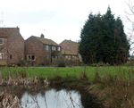 Bronte in York, North Yorkshire