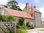 Daffodil Cottage in Danby, North York Moors and Coast, North East England