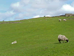 Hill Farm House in Dentdale, Cumbria