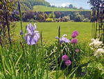 Gardeners Cottage in Presteigne, Ceredigion