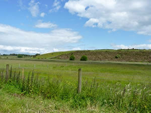 Self catering breaks at Ballyglass Thatched Cottage in Roscommon, County Roscommon