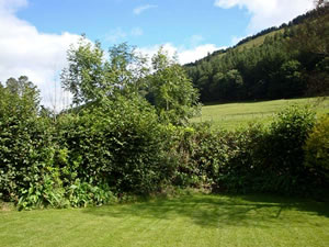 Self catering breaks at Dafarn Newydd in Dinas Mawddwy, Gwynedd