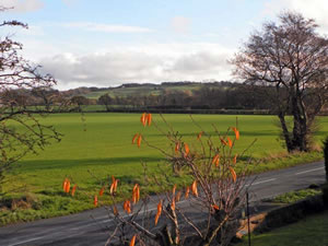 Self catering breaks at Barn Owl Cottage At Crook Hall Farm in Bispham Green, Lancashire