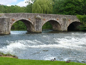 Self catering breaks at Fig Tree Cottage in Bickleigh, Devon