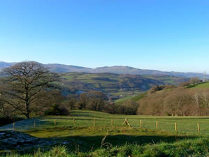 Self catering breaks at Red Kites Retreat in Eglwysbach, Conwy