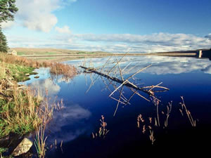 Self catering breaks at Burnhope Shooting Lodge in Wearhead, County Durham