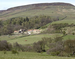 Self catering breaks at The Old Cart House in Farndale, North Yorkshire