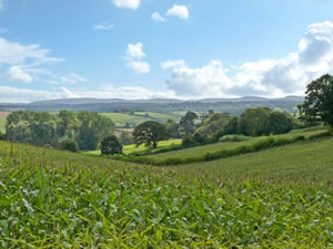 Self catering breaks at Waterbridge Lodge in Copplestone, Devon