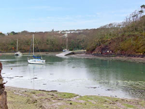 Self catering breaks at Goldfinch in Milford Haven, Pembrokeshire