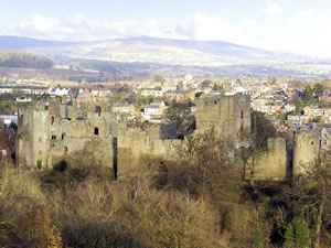 Self catering breaks at Cariad Cottage in Ludlow, Shropshire