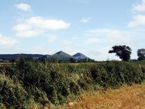 Self catering breaks at Virginia Cottage in Acton Burnell, Shropshire