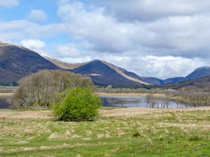 Self catering breaks at Foresters Cottage in Kilmartin, Argyll