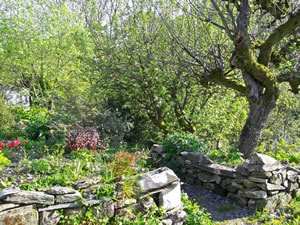 Self catering breaks at Brynaber in Newcastle Emlyn, Conwy