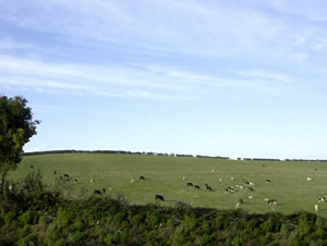 Self catering breaks at The Hayloft in Tolpuddle, Dorset