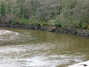 Self catering breaks at Maplebeck in Whitby, North Yorkshire