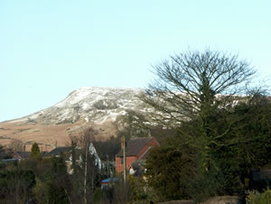 Self catering breaks at Little Orchard Cottage in Hope Bagot, Shropshire