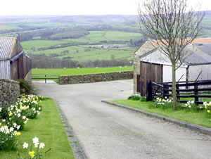 Self catering breaks at Swallow Cottage in Lealholm, North Yorkshire