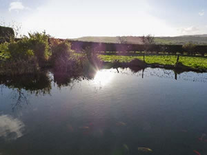 Self catering breaks at The Wagon House in Polyphant, Cornwall