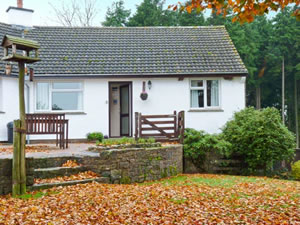 Self catering breaks at Stagsholt Lodge in Washfield, Devon