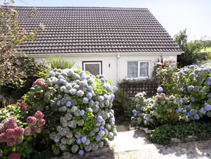 Self catering breaks at Orchard Cottage in East Taphouse, Cornwall