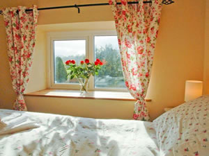 Self catering breaks at Rhydloew in Llanuwchllyn, Gwynedd