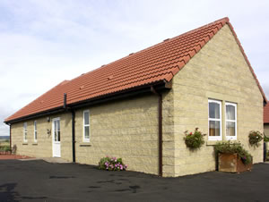 Self catering breaks at Charlottes Stable in Longframlington, Northumberland