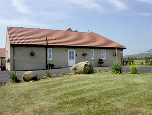 Self catering breaks at Willows Stable in Longframlington, Northumberland