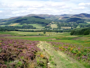 Self catering breaks at Castle Hill in Peebles, Peeblesshire