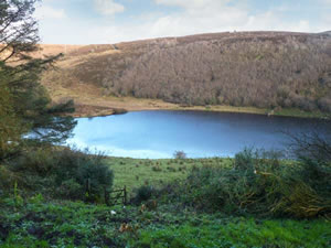 Self catering breaks at Lough Na Leibe Cottage in Ballymote, County Sligo