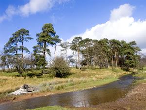 Self catering breaks at Rainbow Cottage in Soulby, Cumbria