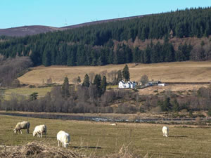 Self catering breaks at Distillery Cottage in Aberlour, Morayshire