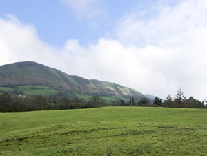 Self catering breaks at Holly Cottage in Lower Wood, Shropshire