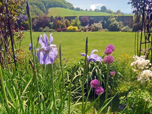 Self catering breaks at Gardeners Cottage in Presteigne, Ceredigion