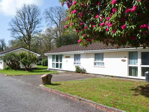 Self catering breaks at Tranquillity in Liskeard, Cornwall